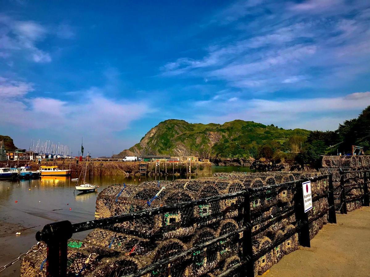 Palm Court B&B Ilfracombe Dış mekan fotoğraf