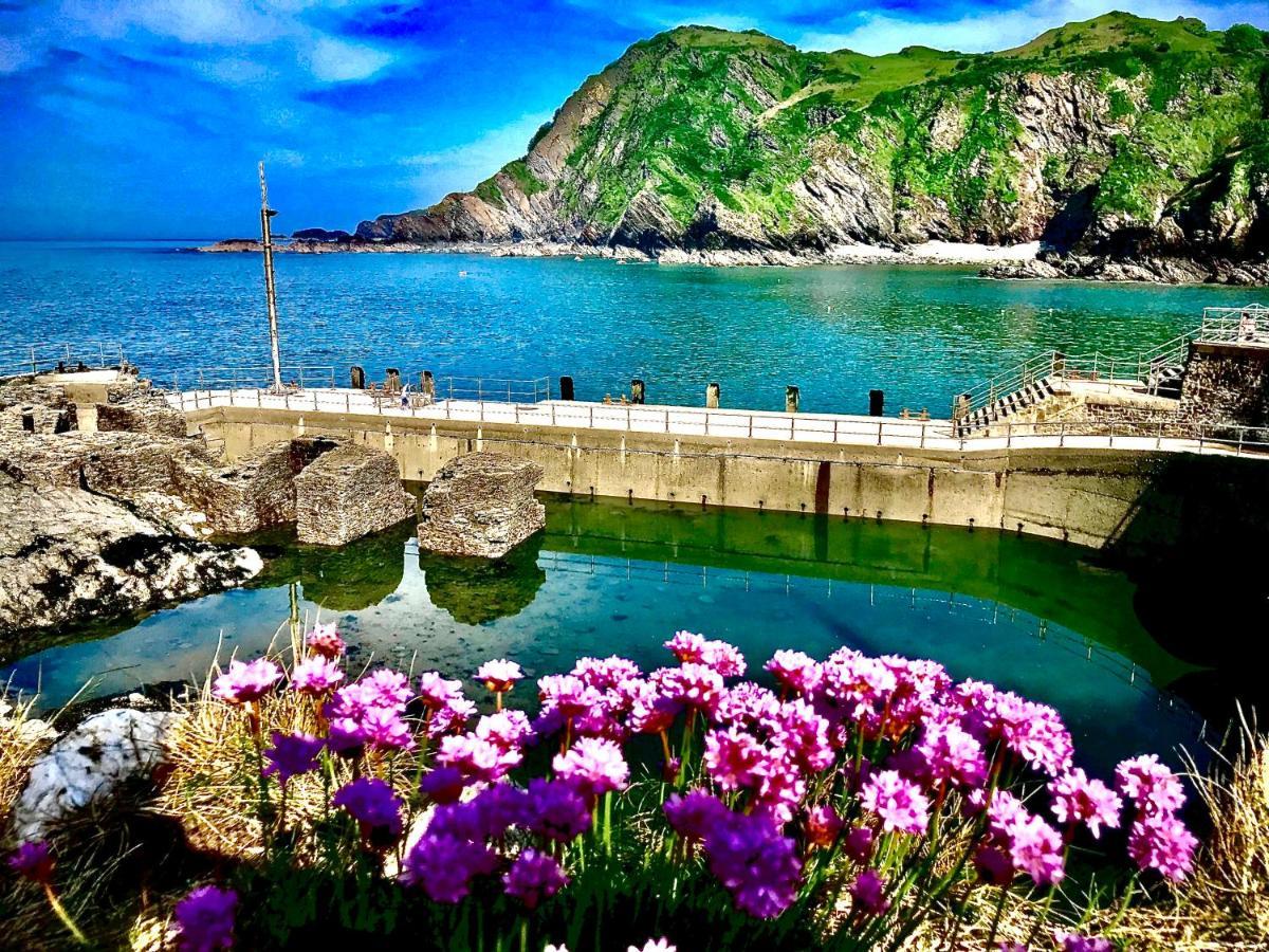 Palm Court B&B Ilfracombe Dış mekan fotoğraf